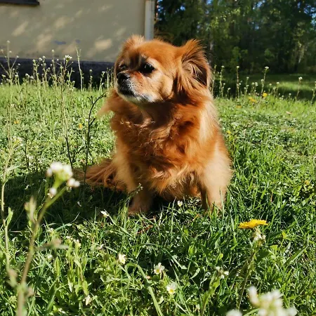 Relaxing Beatiful - Sauna Bath Facility *
