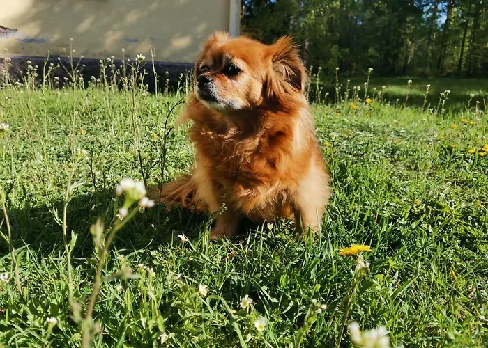 Relaxing Beatiful - Sauna Bath Facility *